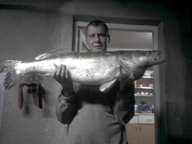 salau