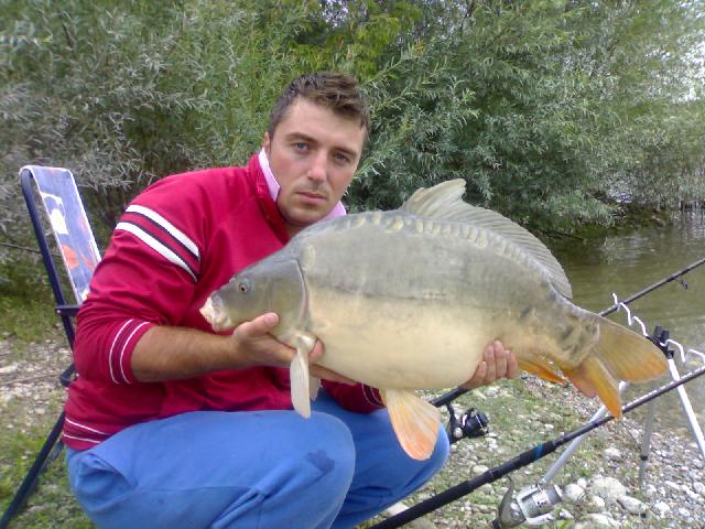prins la mancare de caini