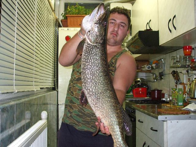 stiuca 6 kg