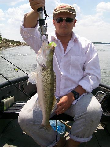 salau 2k