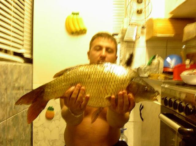 crap 4.5kg