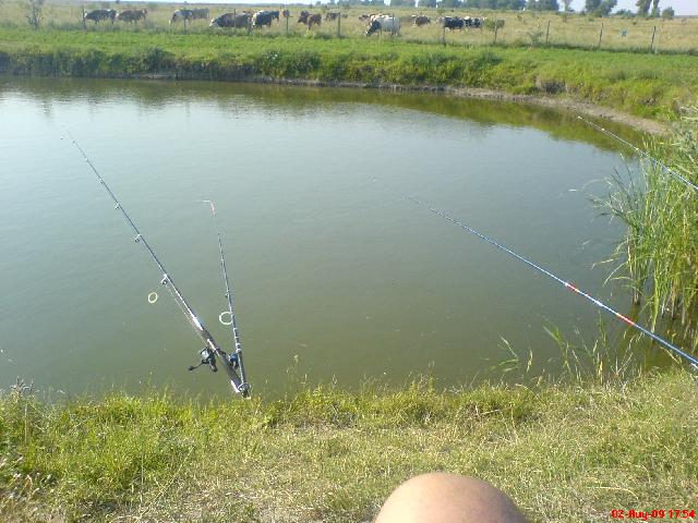 relaxant