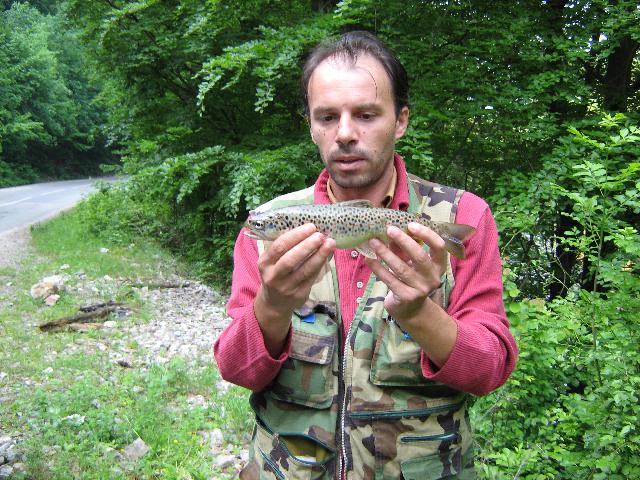 pastrav 2009
