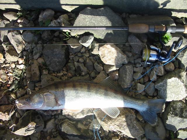 Salau de decembrie
