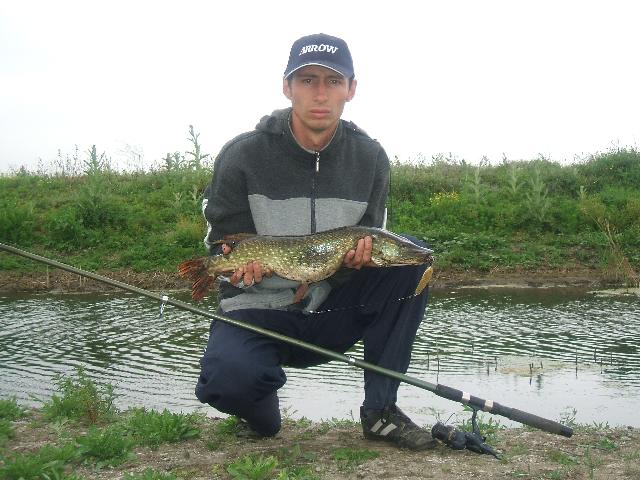 stiuca de Bistret