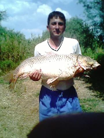 dunare"la scurta" 2008