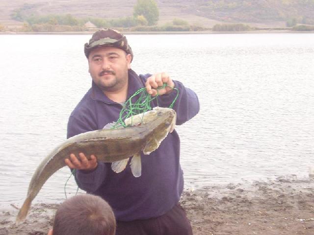 salau 6.4 kg
