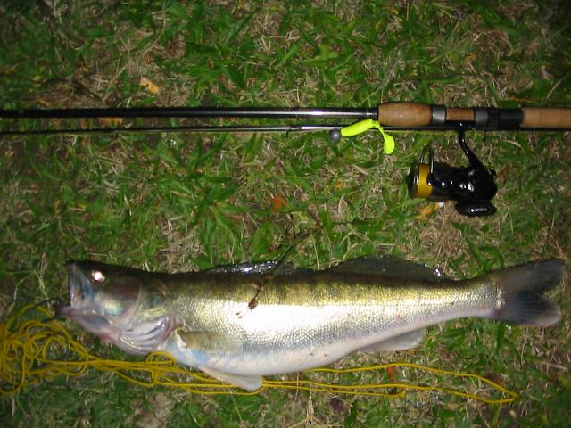 Salau, nou record personal