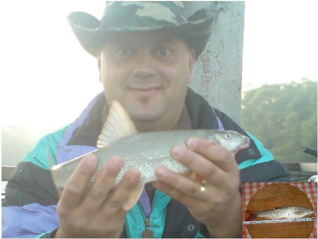 mustacioasa