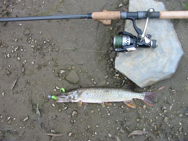 Prima stiuca pe 2008