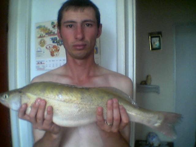 salau mic
