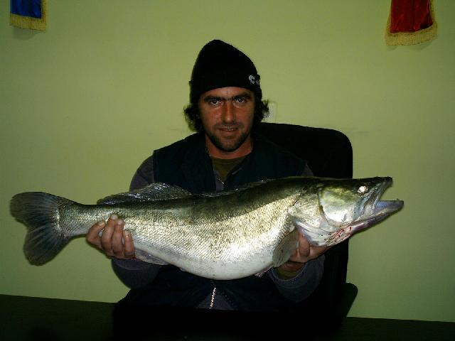 salau de noiembrie