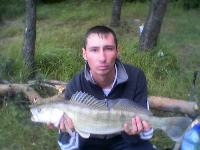 salau