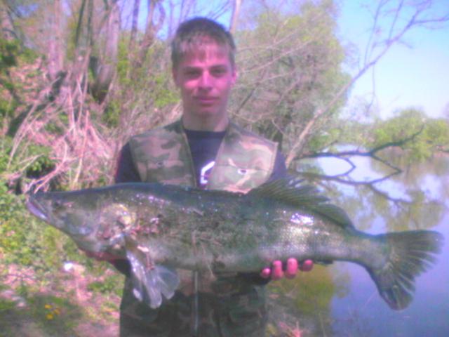 salau