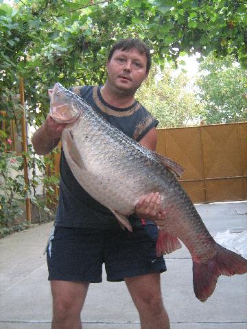 23 kg...prins pe raul mures la pruna