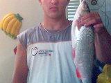 scobar 1kg