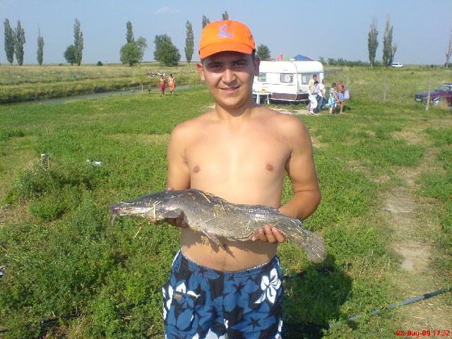 somn 2,450 kg