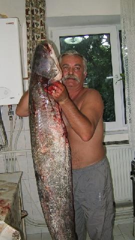 un somnik